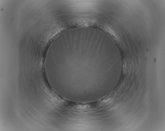 X0000088630314200706081553