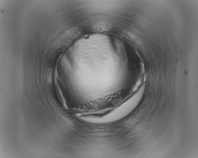 X0000088630315200706081553