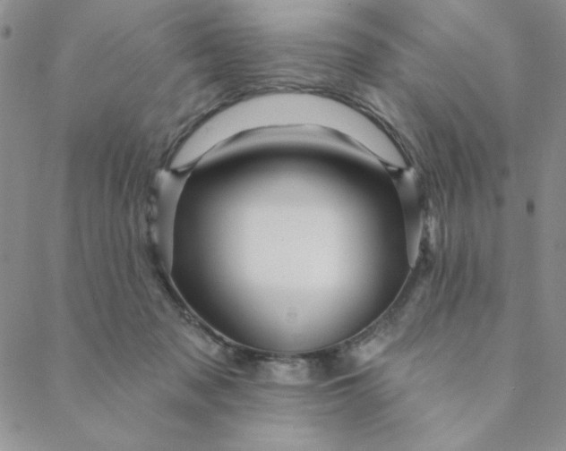 X0000088630317200706081553