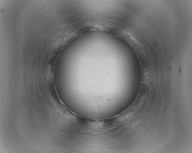X0000088630318200706081553