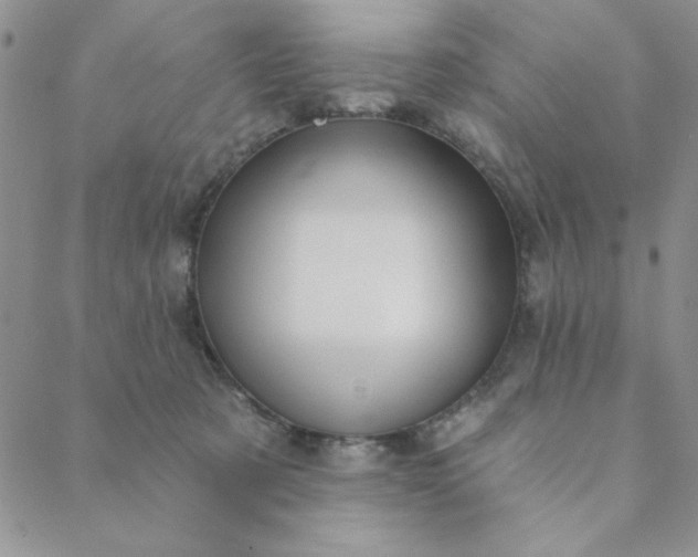 X0000088630321200706081553
