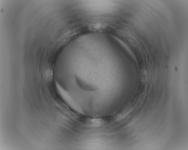 X0000088630324200706081553