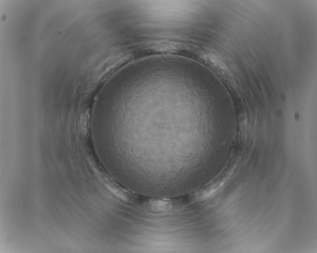 X0000088630325200706081553