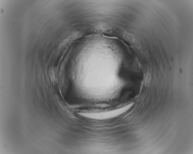 X0000088630335200706081553