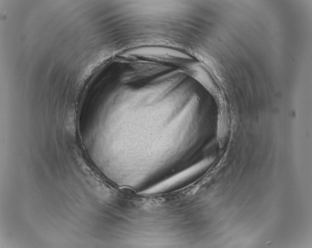 X0000088630345200706081552