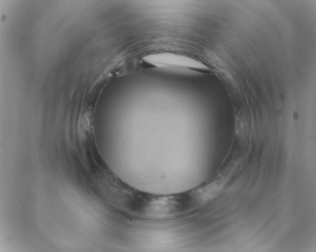 X0000088630382200706081553