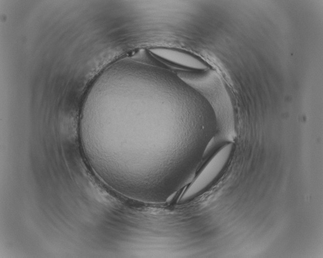 X0000088630393200706081552