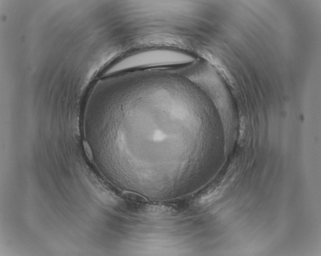 X0000088630399200706081552