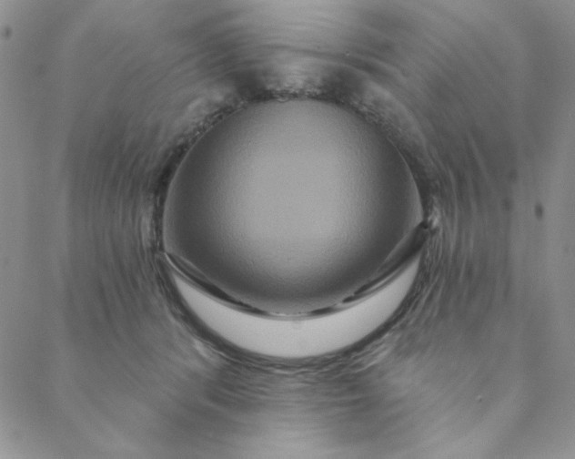 X0000088630416200706081552