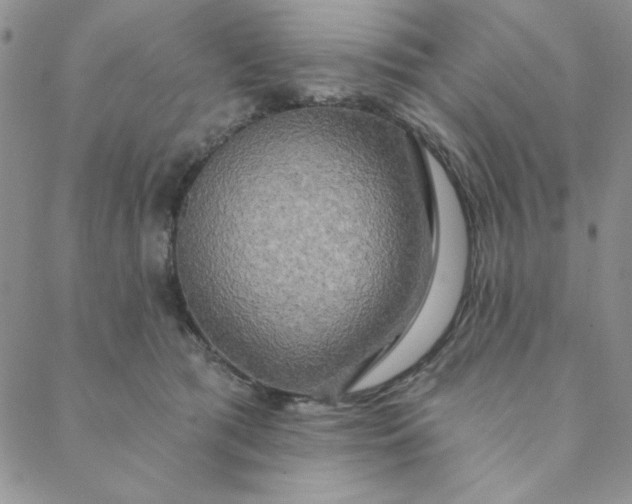 X0000088630417200706081552