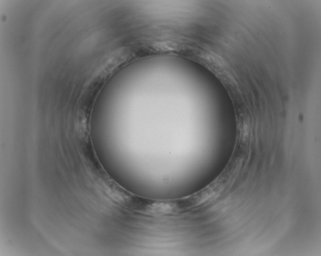X0000088630418200706081552