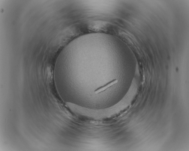 X0000088630420200706081552