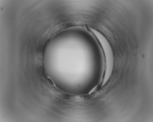 X0000088630421200706081552