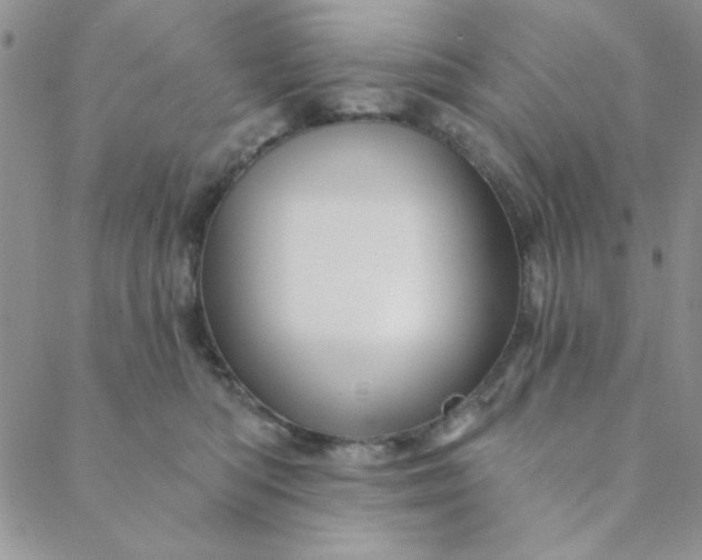 X0000088630422200706081552