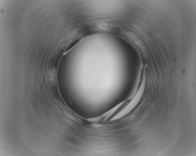 X0000088630425200706081552