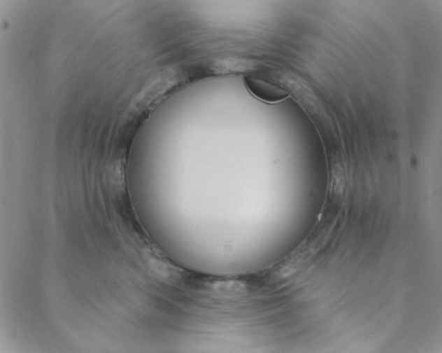X0000088630426200706081552
