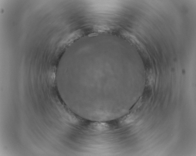 X0000088630427200706081552
