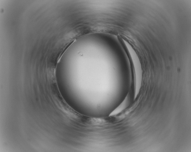 X0000088630429200706081551