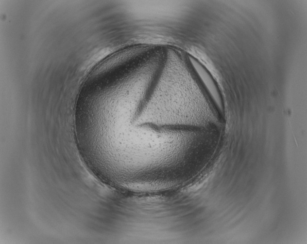 X0000088630433200706081551