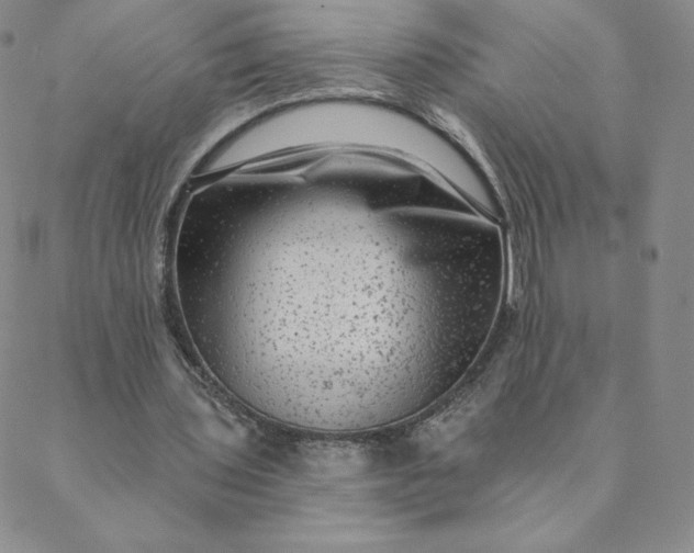 X0000088630435200706081551