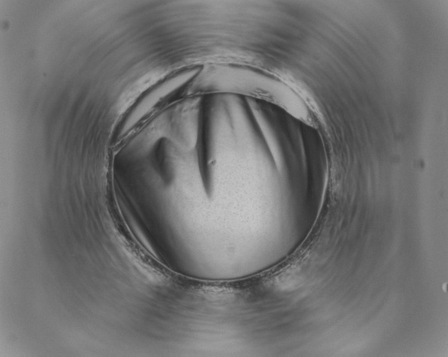 X0000088630437200706081551