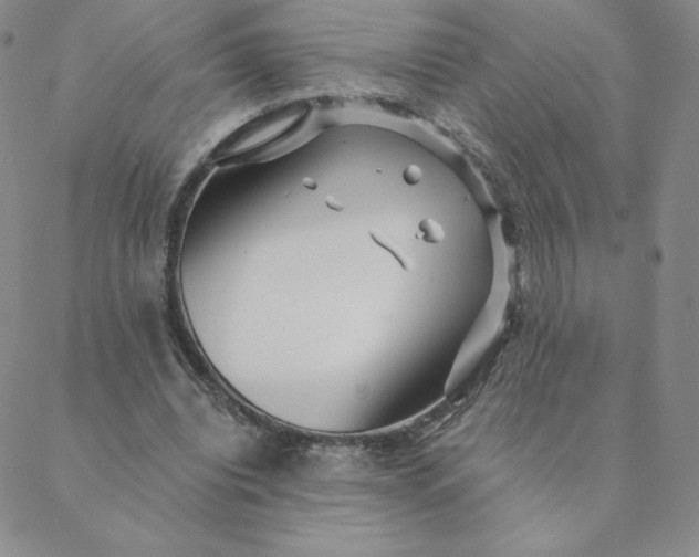 X0000088630440200706081551