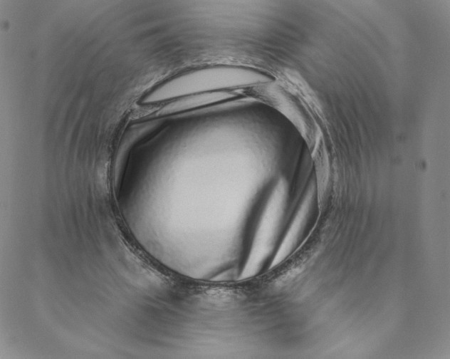 X0000088630441200706081551