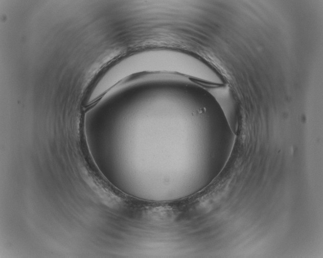 X0000088630446200706081551