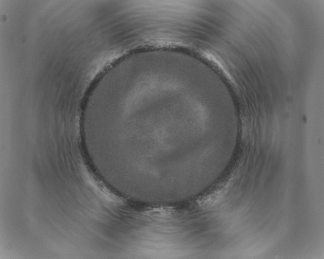 X0000088630447200706081551