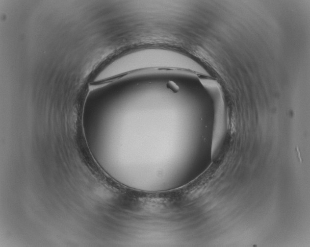 X0000088630448200706081551