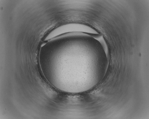 X0000088630450200706081551