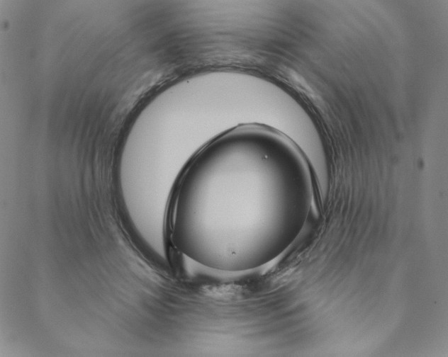 X0000088630452200706081551