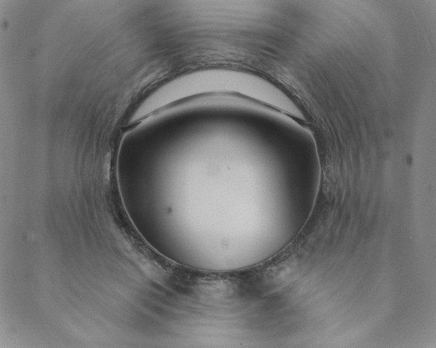 X0000088630454200706081551