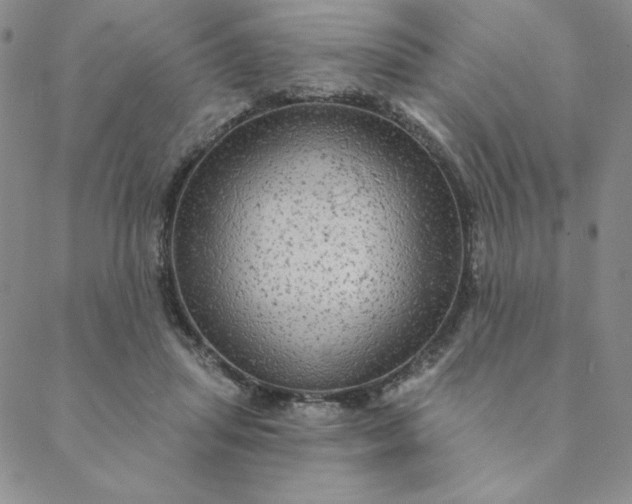 X0000088630455200706081551