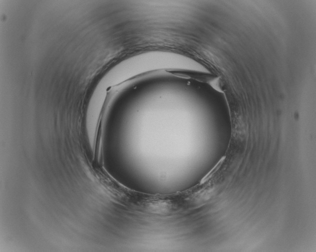 X0000088630456200706081551