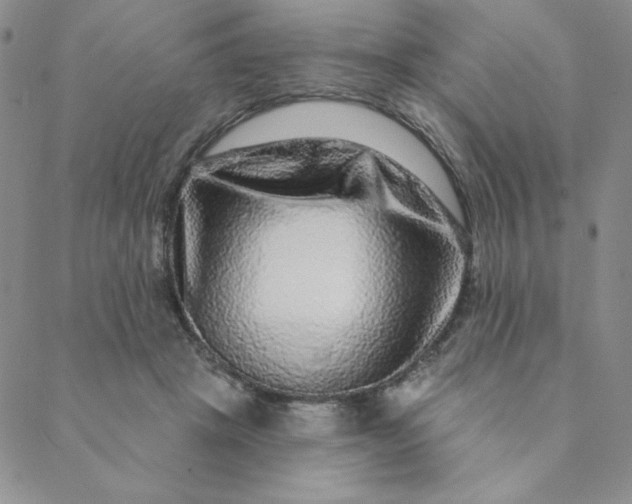 X0000088630457200706081551