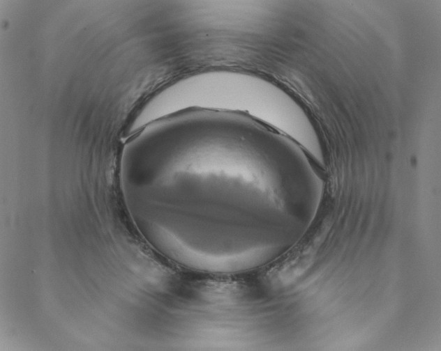 X0000088630458200706081551
