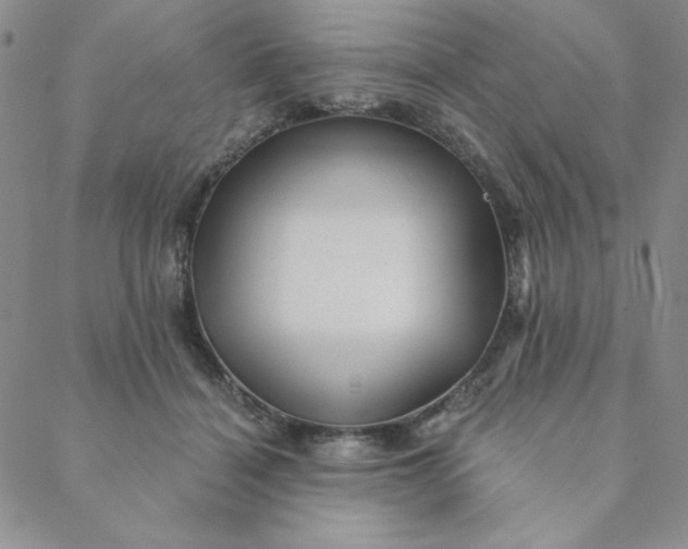 X0000088630460200706081551