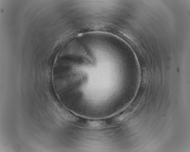 X0000088630461200706081551