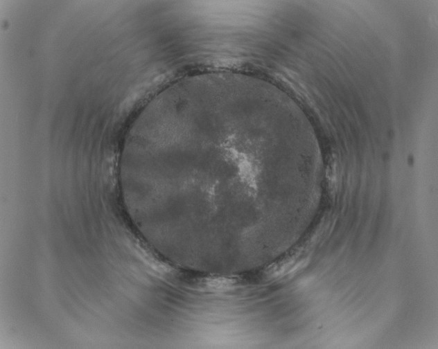 X0000088630462200706081551