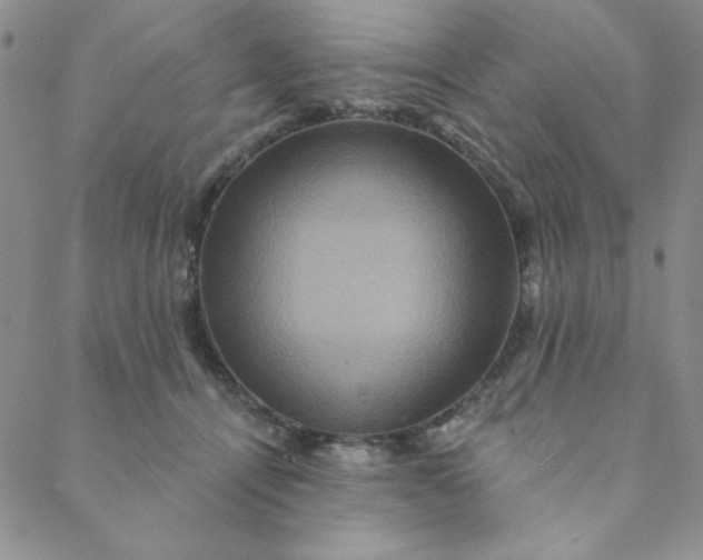 X0000088630464200706081551