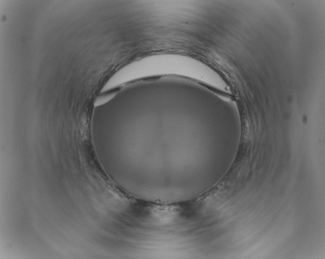 X0000088630465200706081551