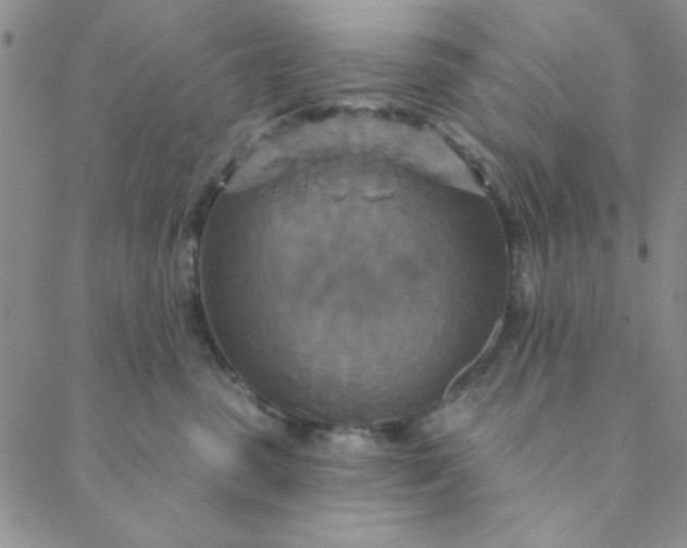 X0000088630475200706081551
