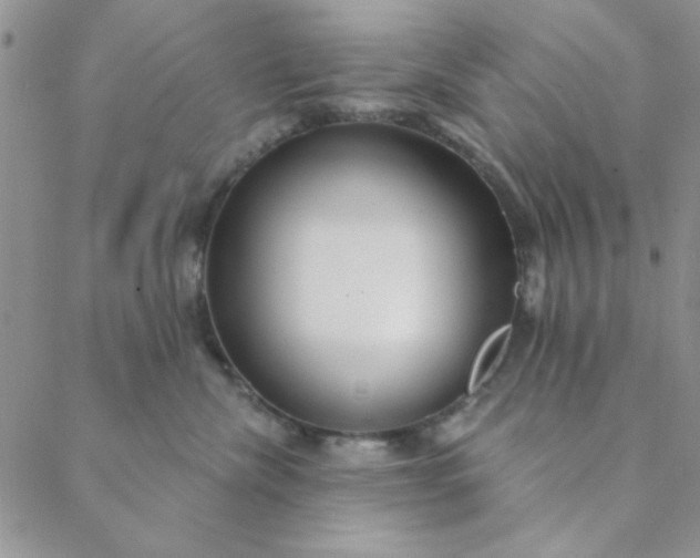 X0000088630476200706081551