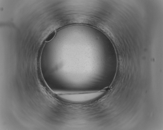 X0000088630482200706081551