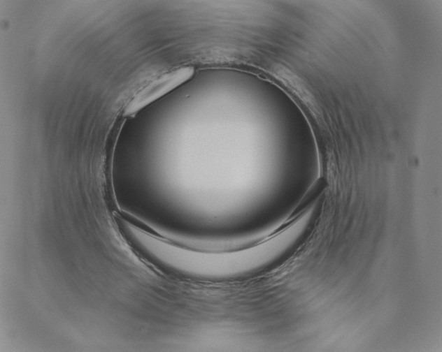 X0000088630485200706081551