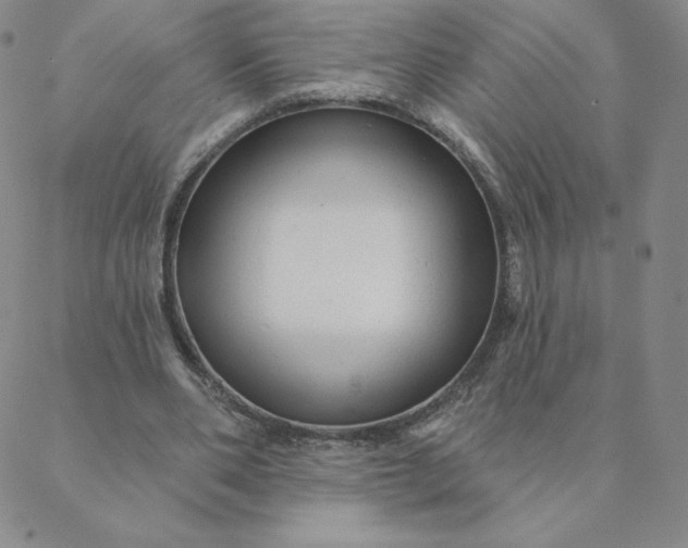 X0000088630486200706081551