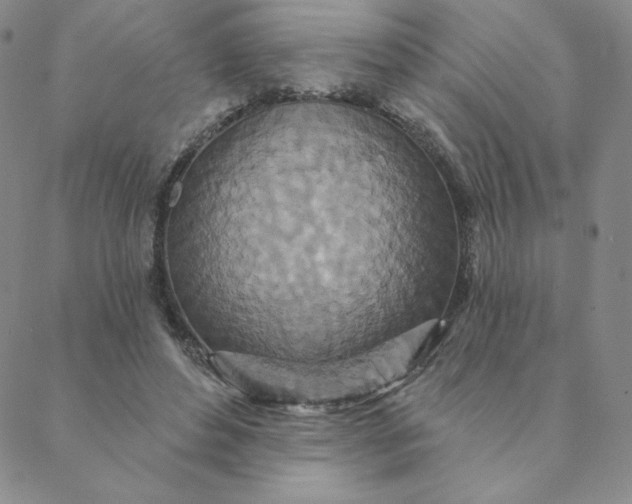 X0000088630496200706081550