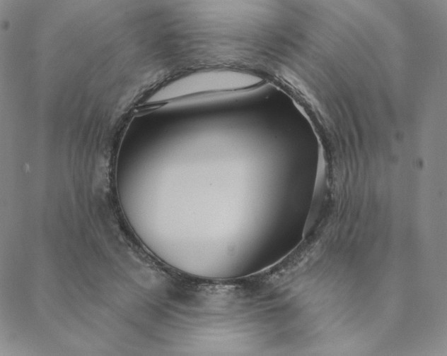 X0000088630497200706081550
