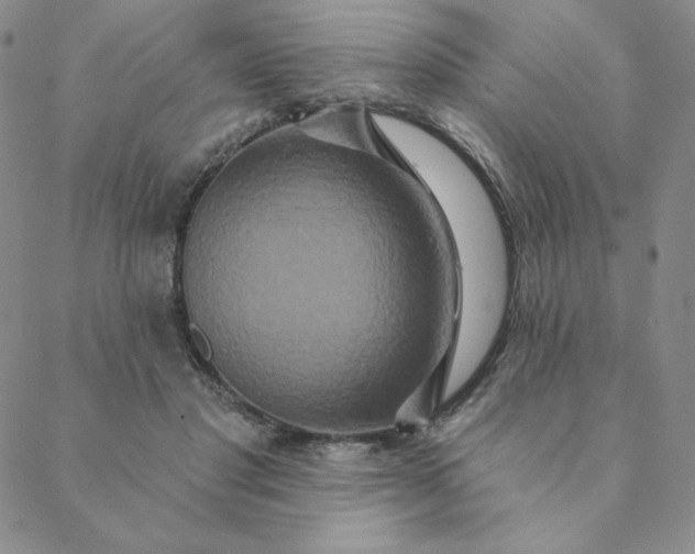 X0000088630501200706081550